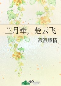 《兰月牵,楚云飞》