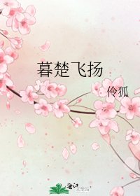 《暮楚飞扬》